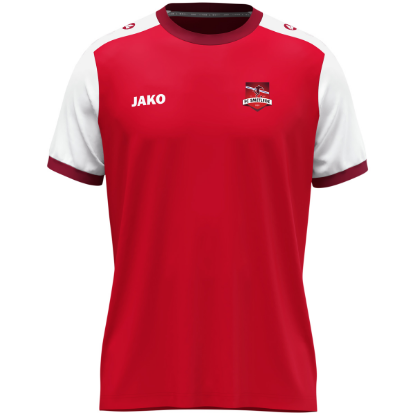 Afbeeldingen van Shirt Dynamic korte mouw